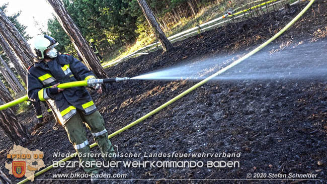 20200422 Waldbrand im Bereich Bezirksgrenze Wopfing (WN) und Alkersdorf (BN)  Foto: © Stefan Schneider BFK Baden