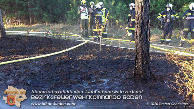 20200422 Waldbrand im Bereich Bezirksgrenze Wopfing (WN) und Alkersdorf (BN)  Foto: © Stefan Schneider BFK Baden