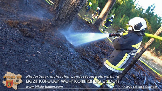 20200422 Waldbrand im Bereich Bezirksgrenze Wopfing (WN) und Alkersdorf (BN)  Foto: © Stefan Schneider BFK Baden