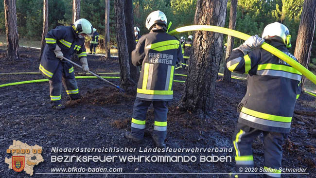 20200422 Waldbrand im Bereich Bezirksgrenze Wopfing (WN) und Alkersdorf (BN)  Foto: © Stefan Schneider BFK Baden