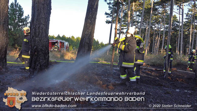 20200422 Waldbrand im Bereich Bezirksgrenze Wopfing (WN) und Alkersdorf (BN)  Foto: © Stefan Schneider BFK Baden