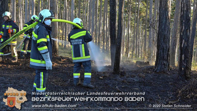 20200422 Waldbrand im Bereich Bezirksgrenze Wopfing (WN) und Alkersdorf (BN)  Foto: © Stefan Schneider BFK Baden