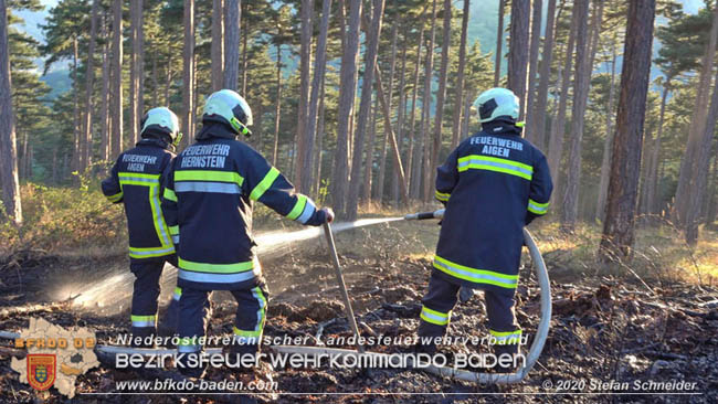 20200422 Waldbrand im Bereich Bezirksgrenze Wopfing (WN) und Alkersdorf (BN)  Foto: © Stefan Schneider BFK Baden
