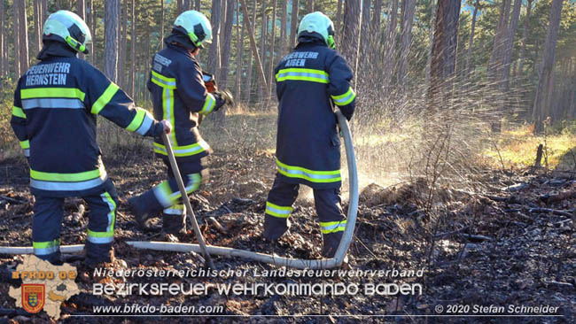 20200422 Waldbrand im Bereich Bezirksgrenze Wopfing (WN) und Alkersdorf (BN)  Foto: © Stefan Schneider BFK Baden
