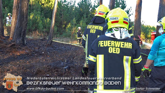 20200422 Waldbrand im Bereich Bezirksgrenze Wopfing (WN) und Alkersdorf (BN)  Foto: © Stefan Schneider BFK Baden