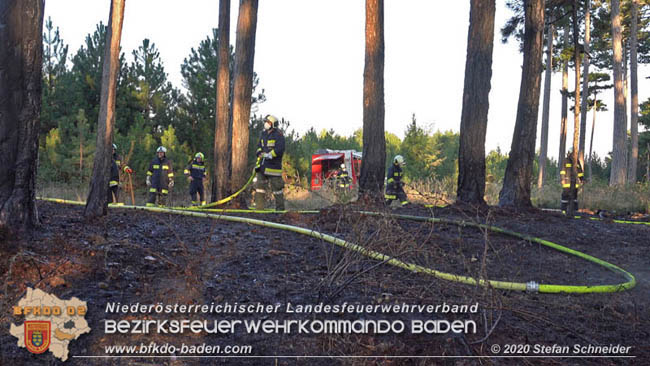 20200422 Waldbrand im Bereich Bezirksgrenze Wopfing (WN) und Alkersdorf (BN)  Foto: © Stefan Schneider BFK Baden