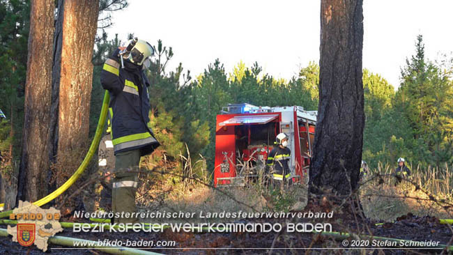 20200422 Waldbrand im Bereich Bezirksgrenze Wopfing (WN) und Alkersdorf (BN)  Foto: © Stefan Schneider BFK Baden