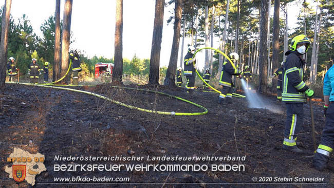 20200422 Waldbrand im Bereich Bezirksgrenze Wopfing (WN) und Alkersdorf (BN)  Foto: © Stefan Schneider BFK Baden