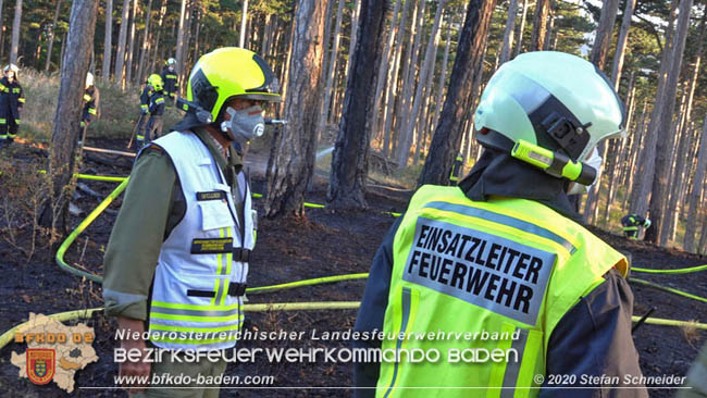 20200422 Waldbrand im Bereich Bezirksgrenze Wopfing (WN) und Alkersdorf (BN)  Foto: © Stefan Schneider BFK Baden