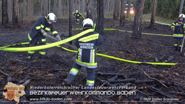 20200422 Waldbrand im Bereich Bezirksgrenze Wopfing (WN) und Alkersdorf (BN)  Foto: © Stefan Schneider BFK Baden