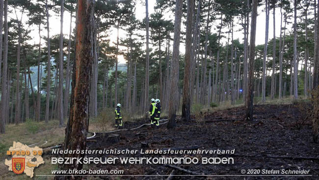20200422 Waldbrand im Bereich Bezirksgrenze Wopfing (WN) und Alkersdorf (BN)  Foto: © Stefan Schneider BFK Baden