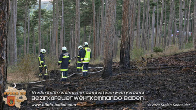 20200422 Waldbrand im Bereich Bezirksgrenze Wopfing (WN) und Alkersdorf (BN)  Foto: © Stefan Schneider BFK Baden