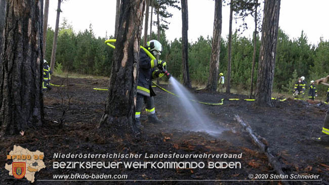 20200422 Waldbrand im Bereich Bezirksgrenze Wopfing (WN) und Alkersdorf (BN)  Foto: © Stefan Schneider BFK Baden