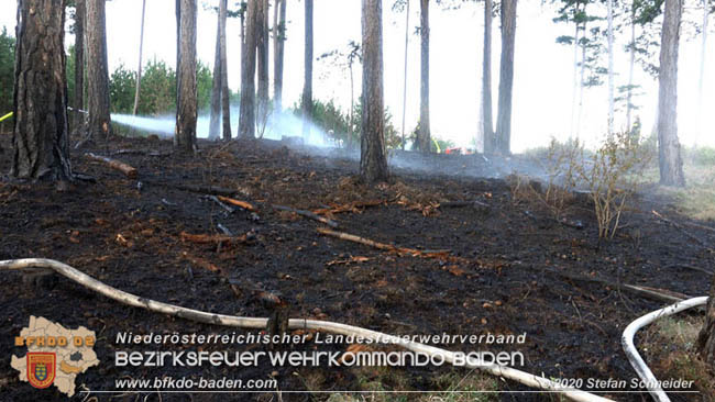 20200422 Waldbrand im Bereich Bezirksgrenze Wopfing (WN) und Alkersdorf (BN)  Foto: © Stefan Schneider BFK Baden
