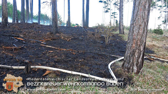 20200422 Waldbrand im Bereich Bezirksgrenze Wopfing (WN) und Alkersdorf (BN)  Foto: © Stefan Schneider BFK Baden
