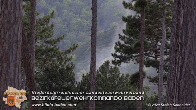 20200422 Waldbrand im Bereich Bezirksgrenze Wopfing (WN) und Alkersdorf (BN)  Foto: © Stefan Schneider BFK Baden