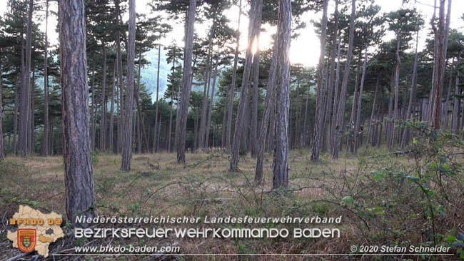 20200422 Waldbrand im Bereich Bezirksgrenze Wopfing (WN) und Alkersdorf (BN)  Foto: © Stefan Schneider BFK Baden
