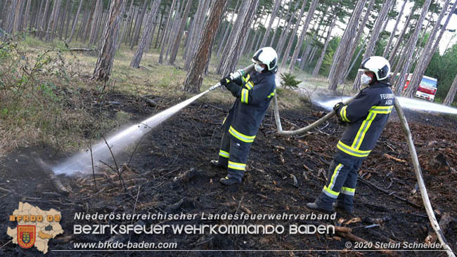 20200422 Waldbrand im Bereich Bezirksgrenze Wopfing (WN) und Alkersdorf (BN)  Foto: © Stefan Schneider BFK Baden