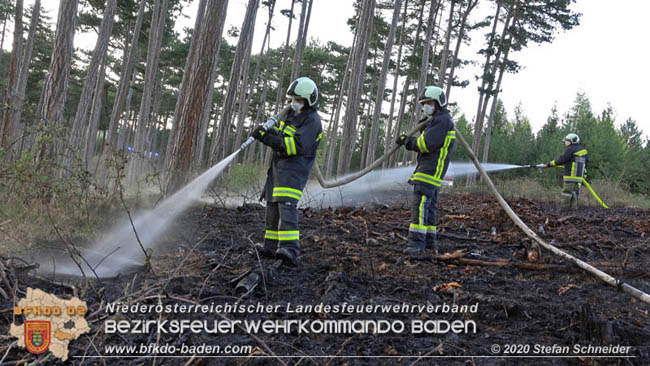 20200422 Waldbrand im Bereich Bezirksgrenze Wopfing (WN) und Alkersdorf (BN)  Foto: © Stefan Schneider BFK Baden