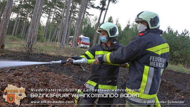 20200422 Waldbrand im Bereich Bezirksgrenze Wopfing (WN) und Alkersdorf (BN)  Foto: © Stefan Schneider BFK Baden