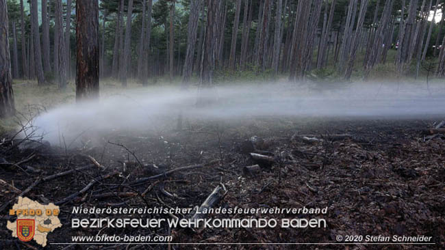 20200422 Waldbrand im Bereich Bezirksgrenze Wopfing (WN) und Alkersdorf (BN)  Foto: © Stefan Schneider BFK Baden