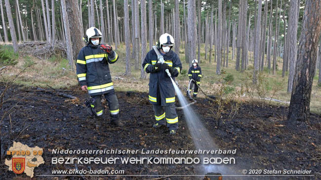 20200422 Waldbrand im Bereich Bezirksgrenze Wopfing (WN) und Alkersdorf (BN)  Foto: © Stefan Schneider BFK Baden