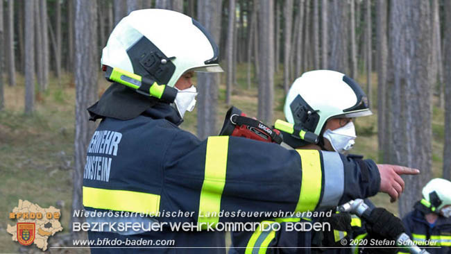 20200422 Waldbrand im Bereich Bezirksgrenze Wopfing (WN) und Alkersdorf (BN)  Foto: © Stefan Schneider BFK Baden