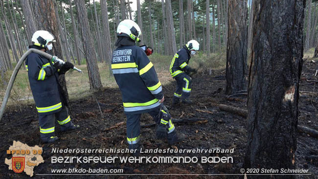 20200422 Waldbrand im Bereich Bezirksgrenze Wopfing (WN) und Alkersdorf (BN)  Foto: © Stefan Schneider BFK Baden