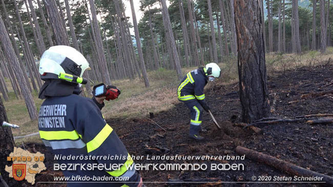 20200422 Waldbrand im Bereich Bezirksgrenze Wopfing (WN) und Alkersdorf (BN)  Foto: © Stefan Schneider BFK Baden