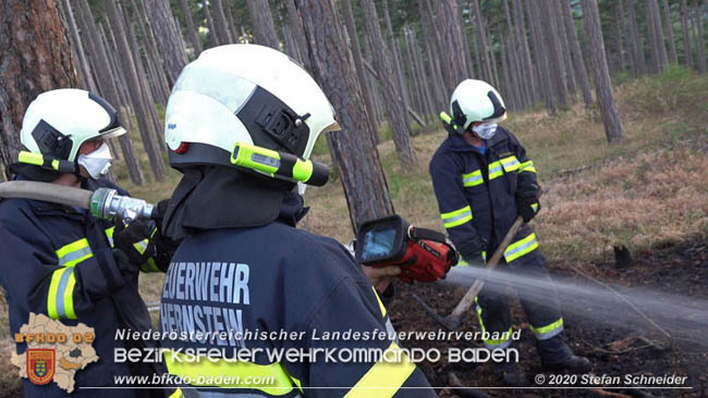 20200422 Waldbrand im Bereich Bezirksgrenze Wopfing (WN) und Alkersdorf (BN)  Foto: © Stefan Schneider BFK Baden