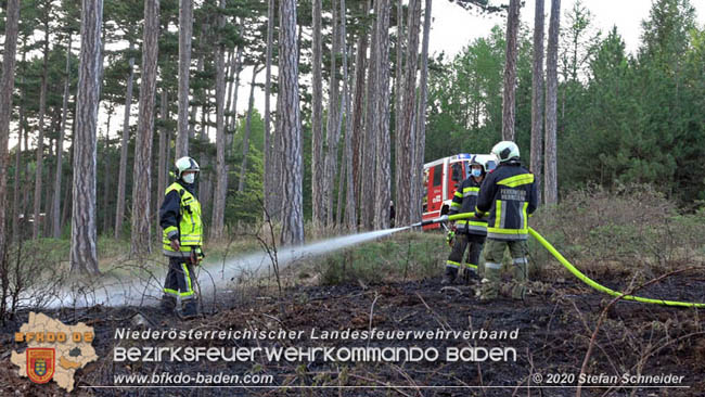 20200422 Waldbrand im Bereich Bezirksgrenze Wopfing (WN) und Alkersdorf (BN)  Foto: © Stefan Schneider BFK Baden