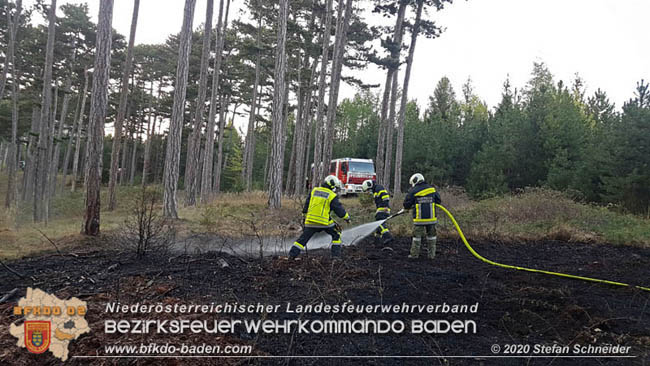 20200422 Waldbrand im Bereich Bezirksgrenze Wopfing (WN) und Alkersdorf (BN)  Foto: © Stefan Schneider BFK Baden
