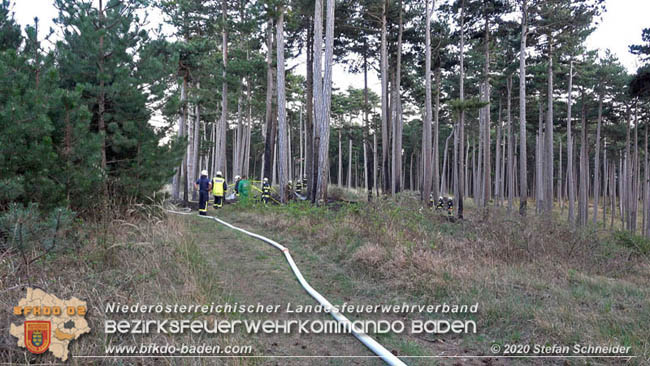 20200422 Waldbrand im Bereich Bezirksgrenze Wopfing (WN) und Alkersdorf (BN)  Foto: © Stefan Schneider BFK Baden