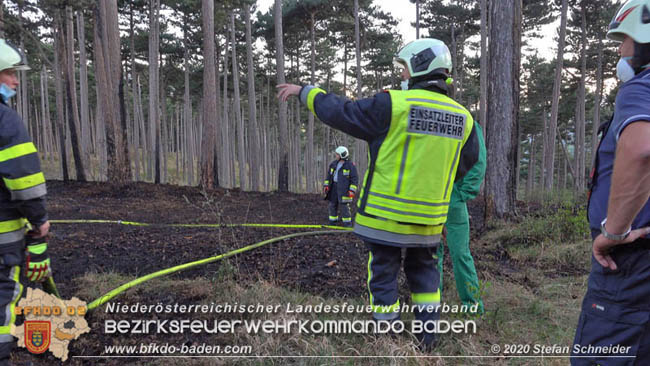 20200422 Waldbrand im Bereich Bezirksgrenze Wopfing (WN) und Alkersdorf (BN)  Foto: © Stefan Schneider BFK Baden