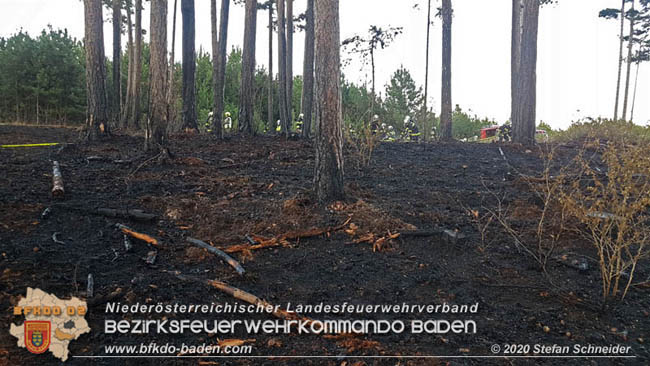 20200422 Waldbrand im Bereich Bezirksgrenze Wopfing (WN) und Alkersdorf (BN)  Foto: © Stefan Schneider BFK Baden