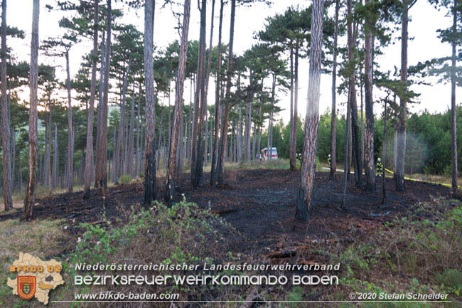 20200422 Waldbrand im Bereich Bezirksgrenze Wopfing (WN) und Alkersdorf (BN)  Foto: © Stefan Schneider BFK Baden