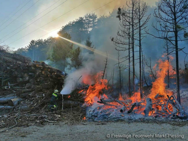20200422 Waldbrand im Bereich Bezirksgrenze Wopfing (WN) und Alkersdorf (BN)  Foto: © Freiwillige Feuerwehr Markt Piesting