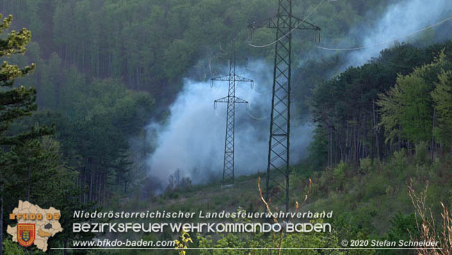 20200422 Waldbrand im Bereich Bezirksgrenze Wopfing (WN) und Alkersdorf (BN)  Foto: © Stefan Schneider BFK Baden