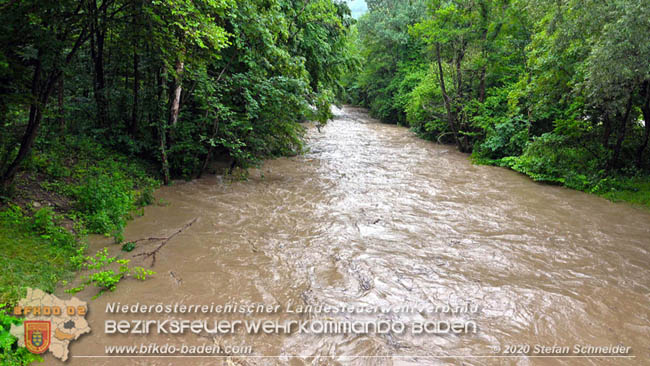 20200621 Hochwasserführende Schwechat im Helenental Raum Siegenfeld  Fotos: © Stefan Schneider