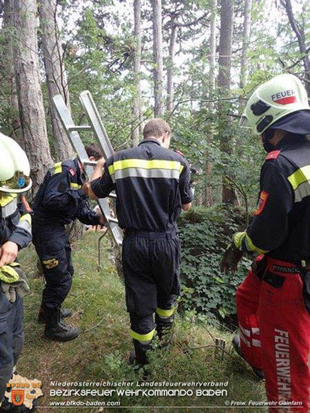 20200708 Tierrettung beim Schloss Merkenstein  Foto: © Freiwillige Feuerwehr Gainfarn
