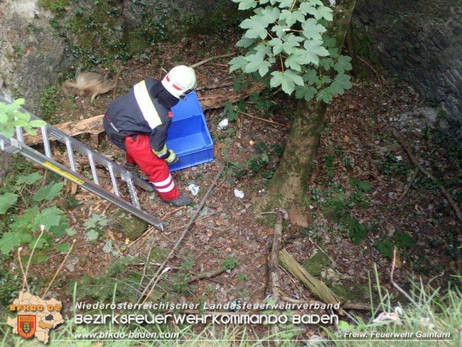 20200708 Tierrettung beim Schloss Merkenstein  Foto: © Freiwillige Feuerwehr Gainfarn