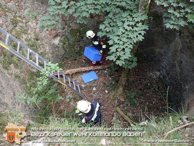 20200708 Tierrettung beim Schloss Merkenstein  Foto: © Freiwillige Feuerwehr Gainfarn