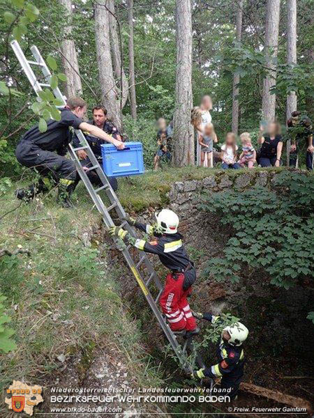 20200708 Tierrettung beim Schloss Merkenstein  Foto: © Freiwillige Feuerwehr Gainfarn