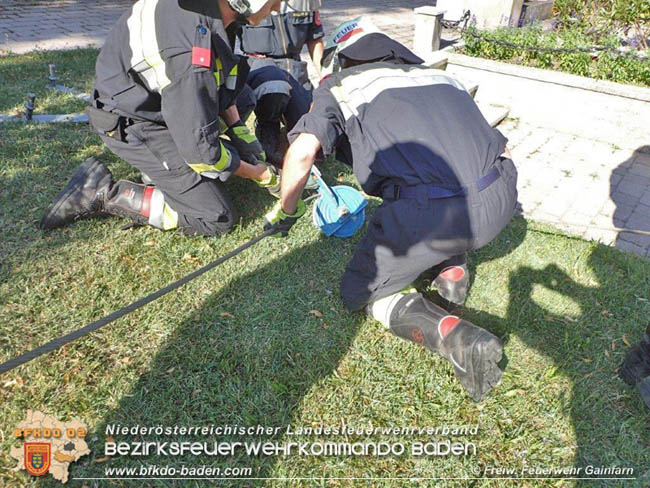 20200710 Spektakulärer Unfall im Ortsgebiet von Gainfarn  Fotos: © Freiwillige Feuerwehr Gainfarn