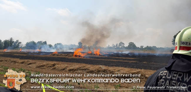 20200721 Feldbrand im Gemeindegebiet Traiskirchen forderte 4 Freiwillige Feuerwehren   Fotos: © Freiwillige Feuerwehr Traiskirchen-Stadt