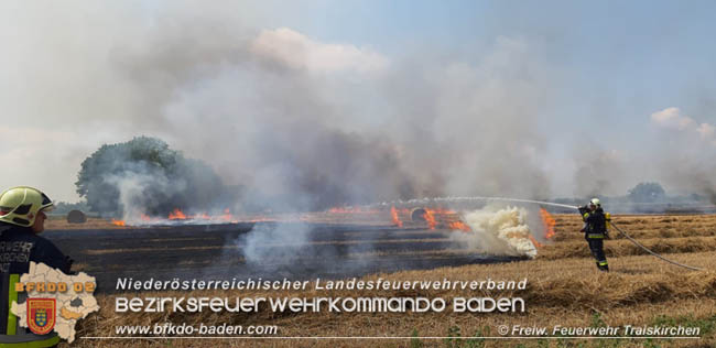 20200721 Feldbrand im Gemeindegebiet Traiskirchen forderte 4 Freiwillige Feuerwehren   Fotos: © Freiwillige Feuerwehr Traiskirchen-Stadt