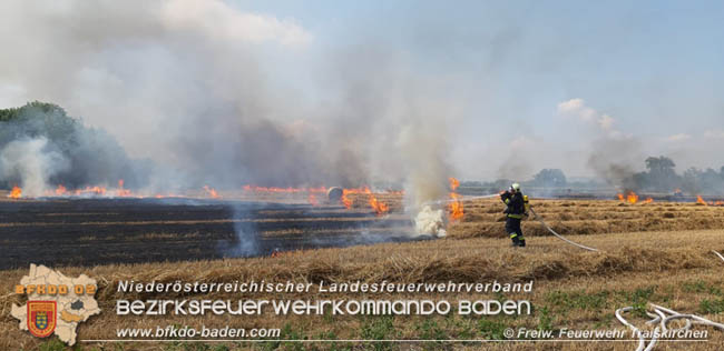 20200721 Feldbrand im Gemeindegebiet Traiskirchen forderte 4 Freiwillige Feuerwehren   Fotos: © Freiwillige Feuerwehr Traiskirchen-Stadt