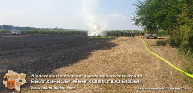 20200721 Feldbrand im Gemeindegebiet Traiskirchen forderte 4 Freiwillige Feuerwehren   Fotos: © Freiwillige Feuerwehr Traiskirchen-Stadt