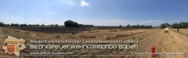 20200721 Feldbrand im Gemeindegebiet Traiskirchen forderte 4 Freiwillige Feuerwehren   Fotos: © Freiwillige Feuerwehr Traiskirchen-Stadt