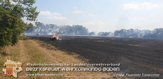 20200721 Feldbrand im Gemeindegebiet Traiskirchen forderte 4 Freiwillige Feuerwehren   Fotos: © Freiwillige Feuerwehr Traiskirchen-Stadt